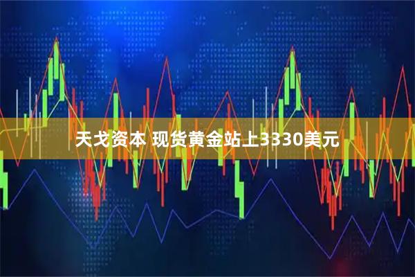 天戈资本 现货黄金站上3330美元