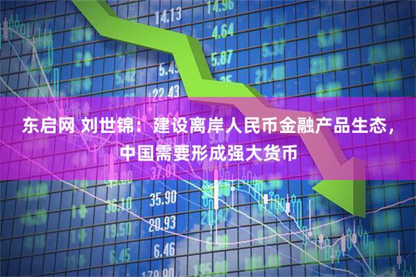 东启网 刘世锦：建设离岸人民币金融产品生态，中国需要形成强大货币