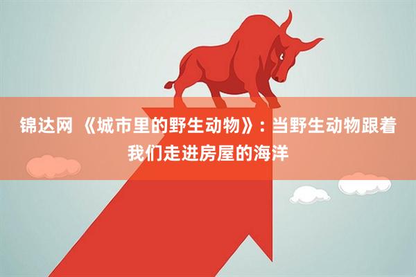 锦达网 《城市里的野生动物》: 当野生动物跟着我们走进房屋的海洋